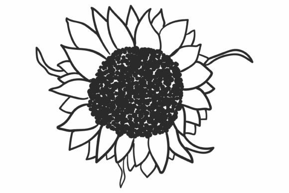 Download Sunflower SVG, Flower Svg - Svg Collection