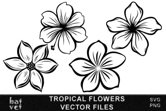 Download Tropical Flower SVG Vector Bundle Design - Svg Collection